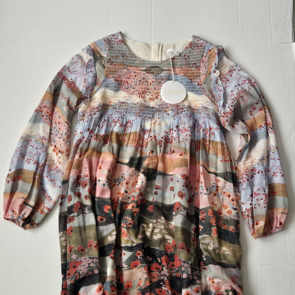 Chloe Multicolor Floral Smocked Bodice Long-Sleeve Dress